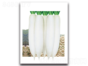 �n������-�}���N��-���}�r(n��ng)�I(y��)