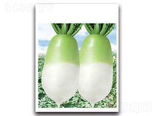 ��G����-�}���N��-���}�r(n��ng)�I(y��)