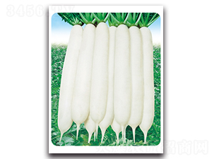 ��G����-�}���N��-���}�r(n��ng)�I(y��)