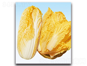 ������-�ײ˷N��-���}�r(n��ng)�I(y��)