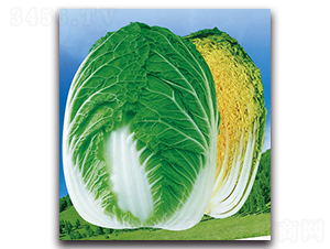 ��G���S-�ײ˷N��-���}�r(n��ng)�I(y��)