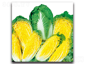 ��G�S����-�ײ˷N��-���}�r(n��ng)�I(y��)