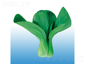 �\�-�๣�˷N��-�֠��r�I(y��)