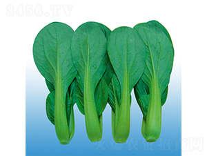 �Ϻ������-�๣�˷N��-�֠��r(n��ng)�I(y��)