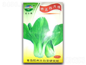 ���x������-��˷N��-�z��