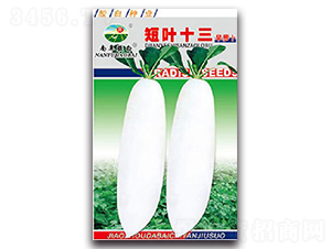 ���~13-�}���N��-�z��