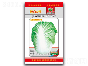 �z��6̖-�ײ˷N��-�z��