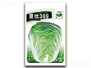 �ă�(y��u)369-�ײ˷N��-�z��