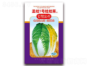 ʥ��1̖���޲�-�ײ˷N��-�z��