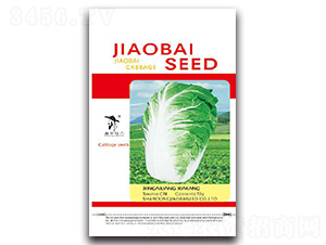 �¸����Ŀ�-�ײ˷N��-�z��