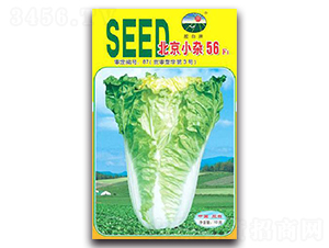 北京小雜56F1-白菜種子-膠白