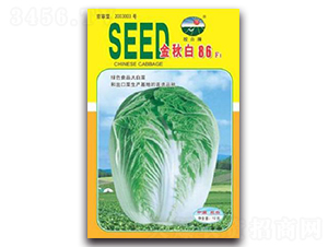 金秋白86F1-白菜種子-膠白