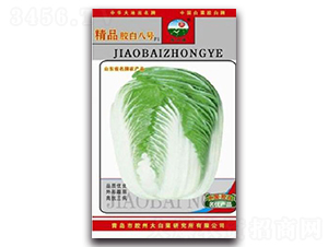 精品膠白八號(hào)F1-白菜種子-膠白