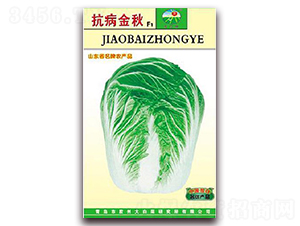 ��������F1-�ײ˷N��-�z��