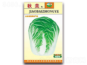 秋美F1-白菜種子-膠白