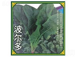 ������-���˷N��-ʢ���N��