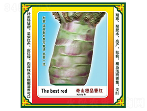 ��ɽ�OƷ��t-�n�ķN��-ʢ���N��