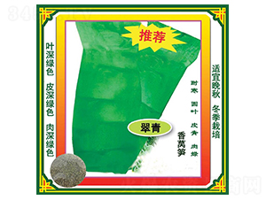 �������n�S-�n�ķN��-ʢ���N��