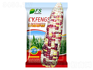 �����Ŵ-��Ŵ���׷N��-�S�T�N�I(y��)