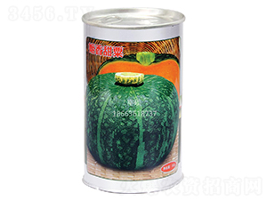 姬香甜粟-南瓜種子-豐碩種業(yè)