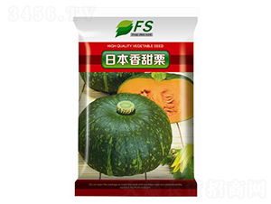 日本香甜栗-南瓜種子-豐碩種業(yè)