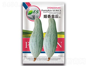 姬香皇后-南瓜種子-豐碩種業(yè)