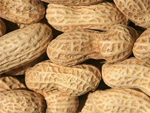 ԥ��15̖-�����N��-���S�r(n��ng)�I(y��)