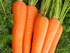 EC228-���}���N��-���S�r(n��ng)�I(y��)