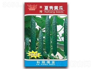 �����S��-�S�ϷN��-����N�I(y��)