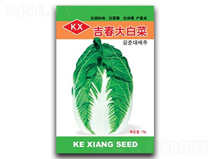 ������ײ�-��ײ˷N��-����N�I(y��)