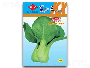 ����-�๣�˷N��-����N�I(y��)