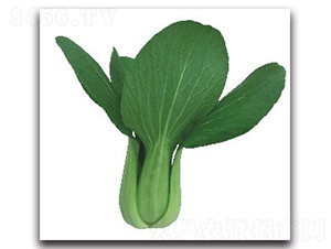 �A�ļt2̖(h��o)�๣��-�๣�˷N��-����N�I(y��)