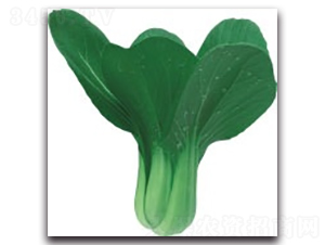 ����3̖(h��o)-�๣�˷N��-����N�I(y��)