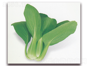 ����599-�๣�˷N��-����N�I(y��)