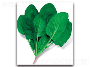 ��(y��u)Խ316-���˷N��-����N�I(y��)