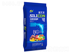 �����ЙC(j��)����-�����{(l��n)��-�����ʘI(y��)