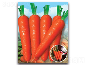 �|���t�ߴ�-�}���N��-����N�I(y��)