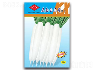 ��������̖(h��o)-�}���N��-����N�I(y��)