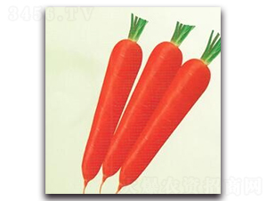 �|��20���}��-�}���N��-����N�I(y��)