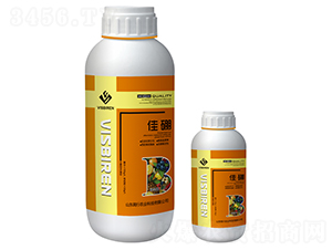 ����-�����r(n��ng)�I(y��)