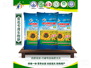 ������(zhu��n)�������-����