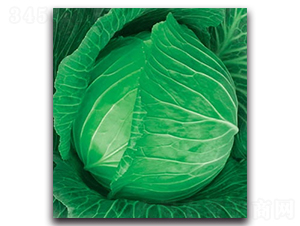 δ��789���{(l��n)-���{(l��n)�N��-����N�I(y��)