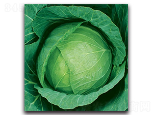 δ��783���{(l��n)-���{(l��n)�N��-����N�I(y��)