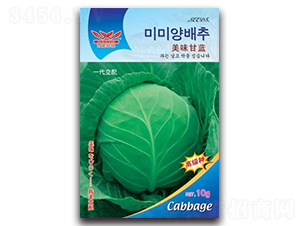 美味甘藍(lán)-甘藍(lán)種子-科翔種業(yè)