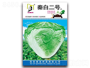 �ذ׶�̖F1-�ײ˷N��-�ػ�