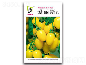 ����˹F1-���ѷN��-�ػ�