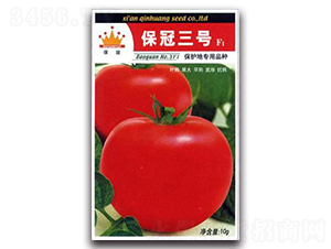 ������̖F1-���ѷN��-�ػ�