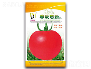 ����W��F1-���ѷN��-�ػ�