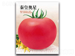 �ػʊW��-���ѷN��-�ػ�