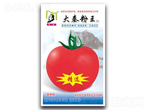 ���x���ط���F1-���ѷN��-�ػ�